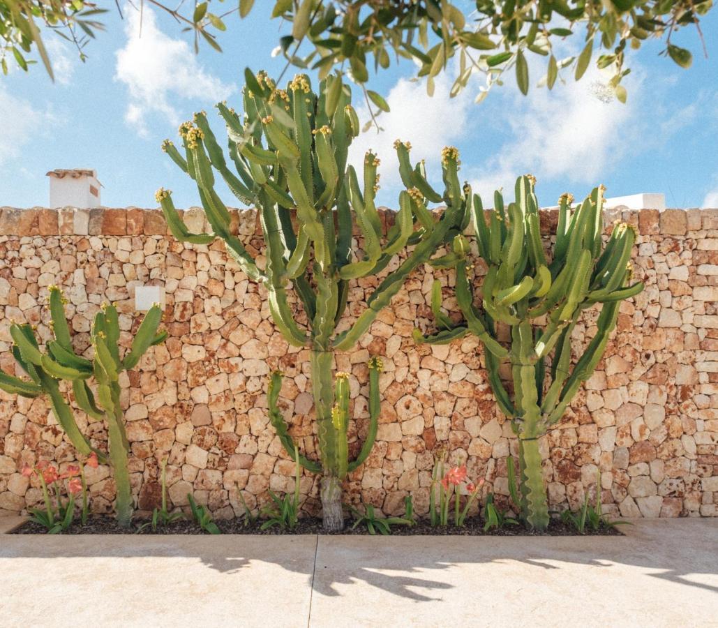 סיוטאדלה Agroturismo Ses Talaies מראה חיצוני תמונה